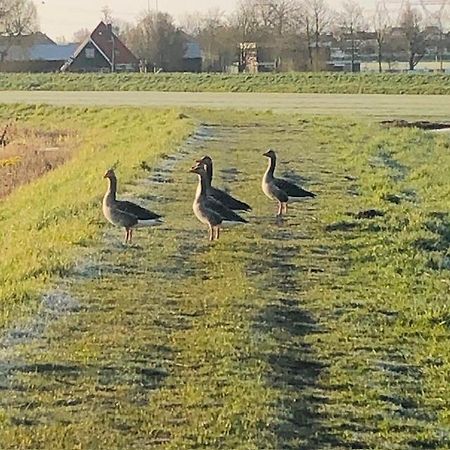 Ingeborgh Art Gastenverblijf Grootschermer Esterno foto